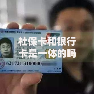 社保卡和银行卡是一体的吗？功能区别与使用指南解析