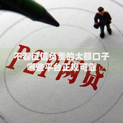 不看征信负责的大额口子哪些平台正规可靠