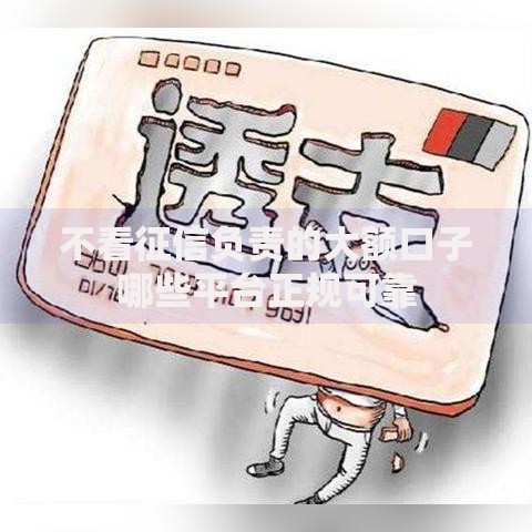 不看征信负责的大额口子哪些平台正规可靠