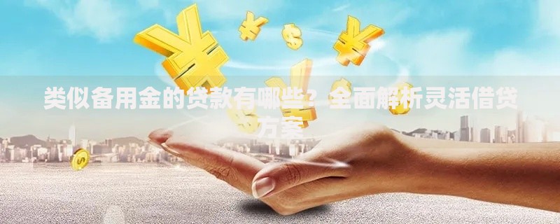 类似备用金的贷款有哪些？全面解析灵活借贷方案