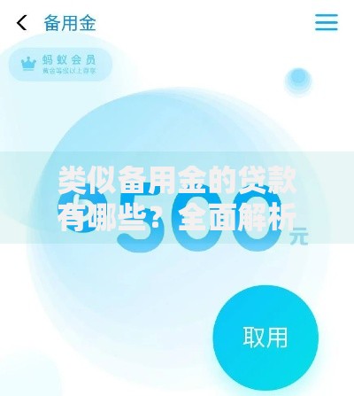 类似备用金的贷款有哪些？全面解析灵活借贷方案
