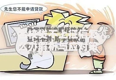 名校贷不上征信怎么办解析与应对策略