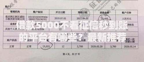 借款5000不看征信秒到账的平台有哪些？最新推荐与风险解析