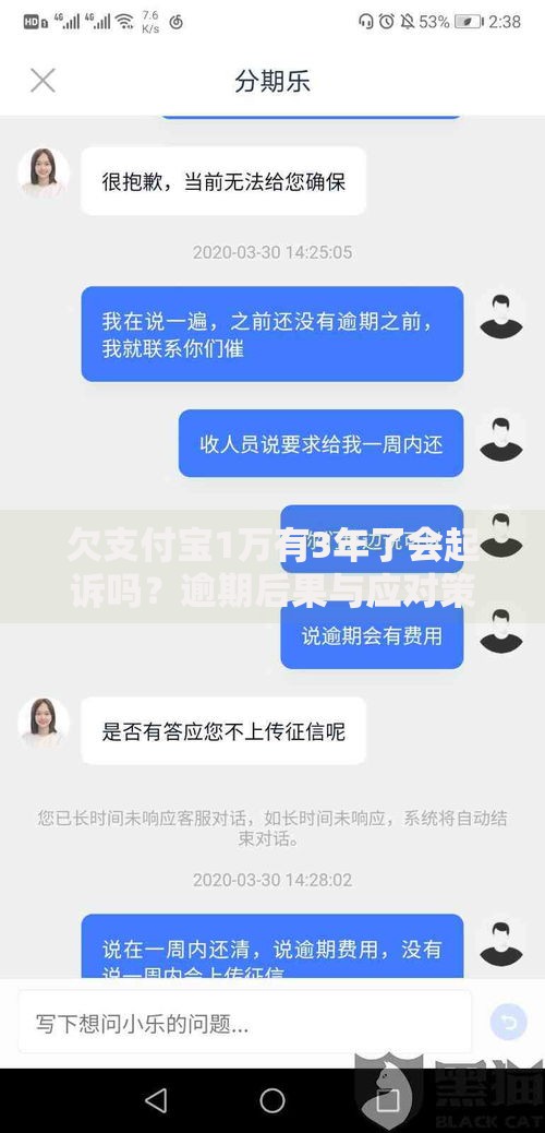欠支付宝1万有3年了会起诉吗？逾期后果与应对策略解析