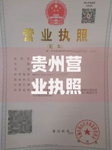 贵州营业执照贷款app口子申请攻略与平台解析