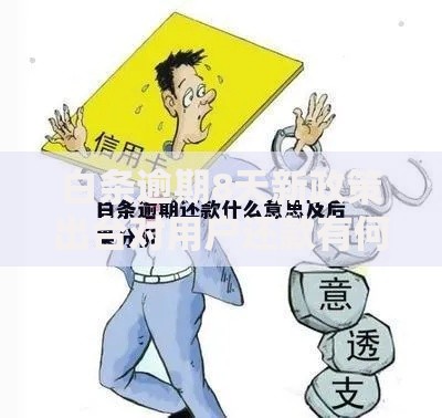 白条逾期8天新政策出台对用户还款有何影响