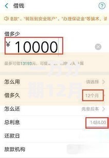一万分期12月利息多少？实测不同平台还款金额大揭秘