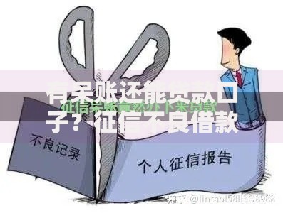 有呆账还能贷款口子？征信不良借款全攻略解析