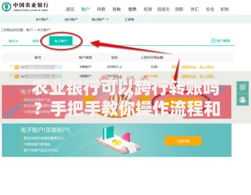 农业银行可以跨行转账吗？手把手教你操作流程和注意事项