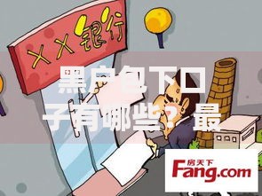 黑户包下口子有哪些？最新贷款渠道及申请攻略解析