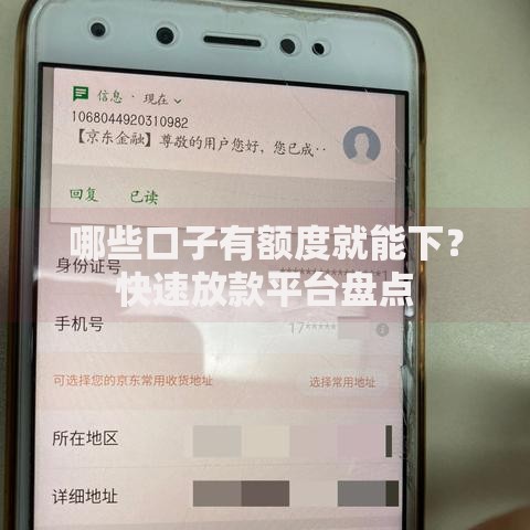 哪些口子有额度就能下？快速放款平台盘点
