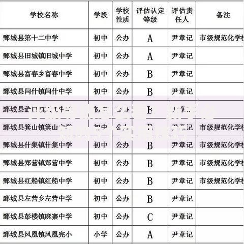 评级等级怎么看？新手必知的5个实用技巧