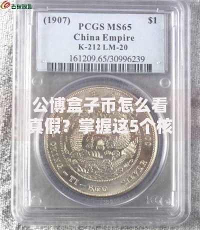 公博盒子币怎么看真假？掌握这5个核心鉴别技巧