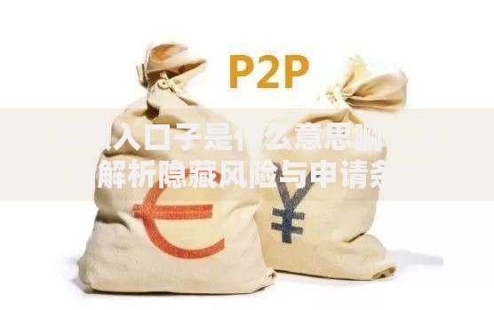 贷款入口子是什么意思啊？全面解析隐藏风险与申请条件