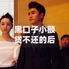 黑口子小额贷不还的后果及应对方法全解析