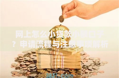 网上怎么小贷款小额口子？申请流程与注意事项解析