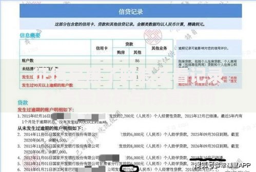 征信是黑了吗怎么看记录？完整解析与修复指南
