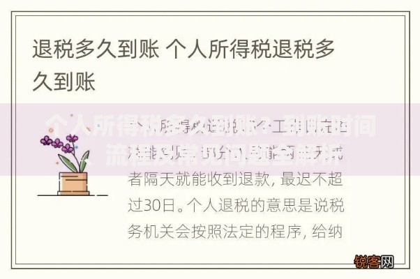 个人所得税多久到账？到账时间、流程及常见问题全解析