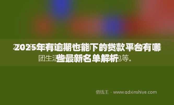 2025年有逾期也能下的贷款平台有哪些最新名单解析