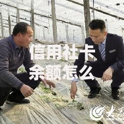 信用社卡余额怎么查询余额 四种常用方法轻松掌握