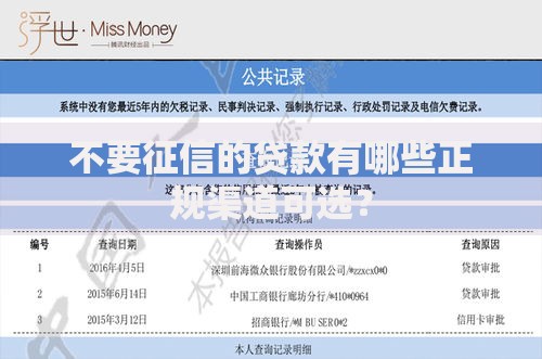 不要征信的贷款有哪些正规渠道可选？