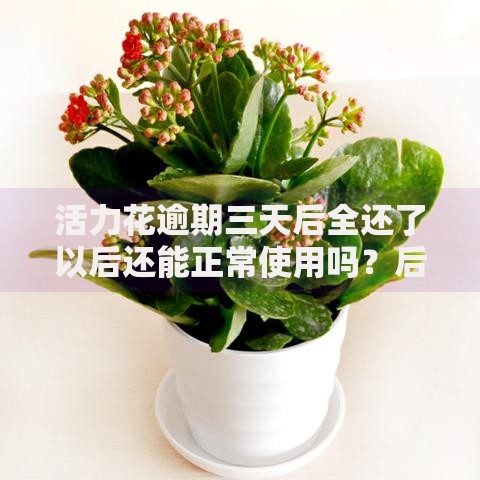 活力花逾期三天后全还了以后还能正常使用吗？后续使用权限和信用影响全解析