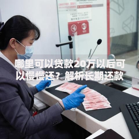 哪里可以贷款20万以后可以慢慢还？解析长期还款方案