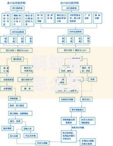 蚂蚁豆怎么交易？新手必看流程与注意事项全解析
