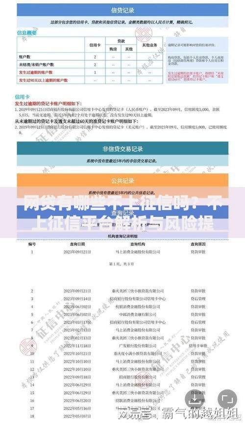 网贷有哪些不上征信吗?不上征信平台解析与风险提示 网贷有哪些不上征信吗?不上征信平台解析与风险提示