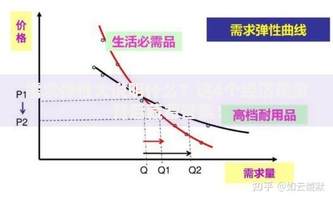 需求弹性大说明什么？这4个经济现象背后藏着答案！