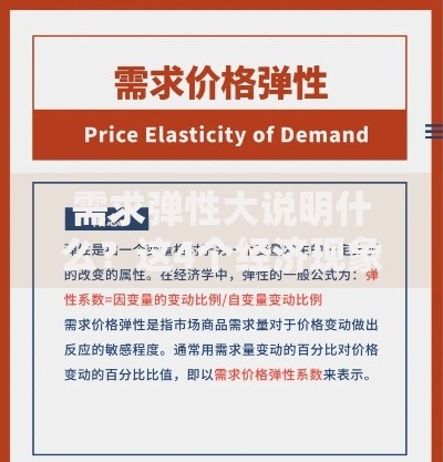 需求弹性大说明什么？这4个经济现象背后藏着答案！