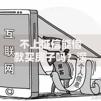不上征信能借款买房子吗？深度解析非征信房贷路径与风险