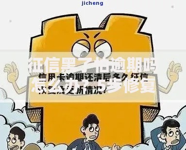 征信黑了怕逾期吗怎么办？5步修复信用实用指南