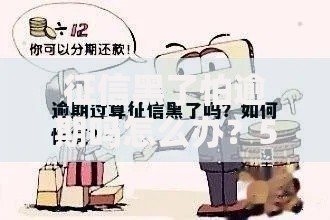 征信黑了怕逾期吗怎么办？5步修复信用实用指南