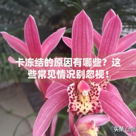 卡冻结的原因有哪些？这些常见情况别忽视！