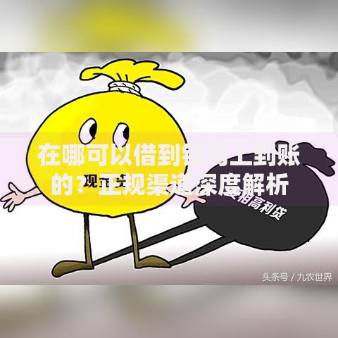 在哪可以借到钱马上到账的？正规渠道深度解析