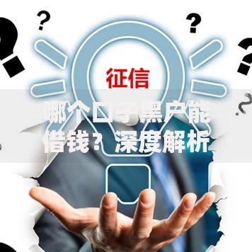 哪个口子黑户能借钱？深度解析黑户贷款渠道与申请技巧