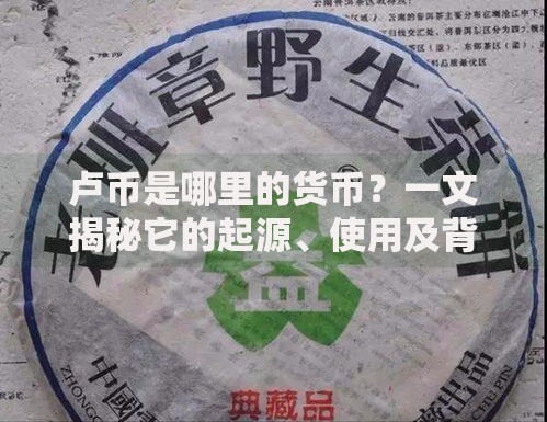 卢币是哪里的货币？一文揭秘它的起源、使用及背后故事