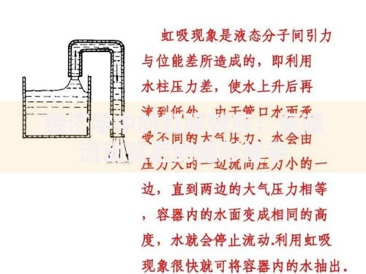 经济学中的虹吸效应：资源流动背后的隐形推手