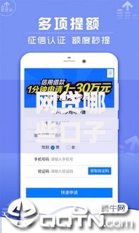 网贷哪些口子下款额度大？高额度平台申请攻略解析