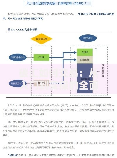 碳汇如何交易：从入门到实操的全面解析