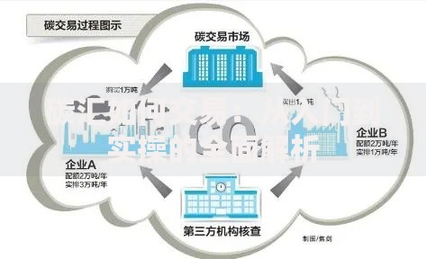碳汇如何交易：从入门到实操的全面解析