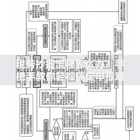 税务抄报流程怎么办？手把手教你轻松搞定申报难题