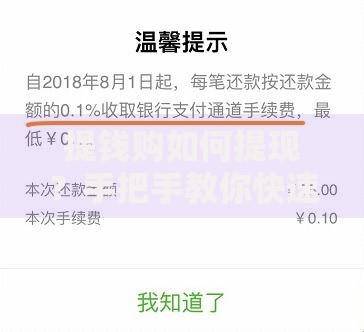 提钱购如何提现？手把手教你快速到账的小窍门