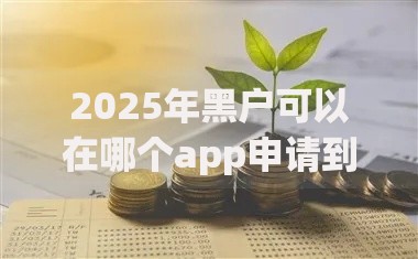 2025年黑户可以在哪个app申请到钱？合规渠道深度解析