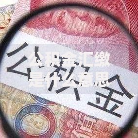 公积金汇缴是什么意思？一文搞懂缴存流程与常见问题