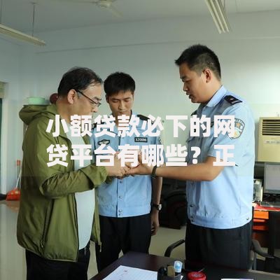 小额贷款必下的网贷平台有哪些？正规低息平台推荐