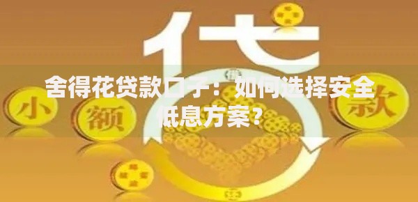 舍得花贷款口子：如何选择安全低息方案？