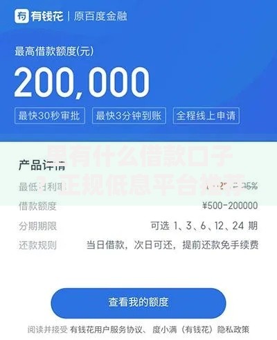 里有什么借款口子？正规低息平台推荐及申请流程解析