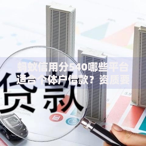 蚂蚁信用分540哪些平台适合个体户借款？资质要求与申贷技巧解析